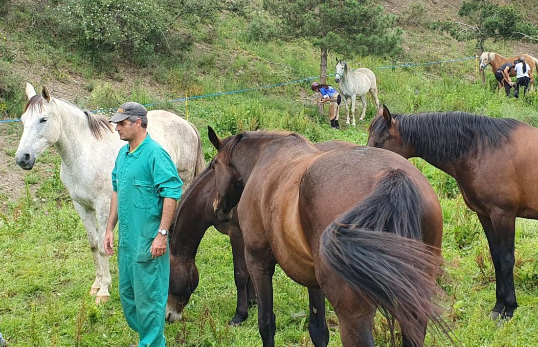 El centre de Bellestar aixopluga una quarantena de cavalls, que durant l’estiu poden pasturar a les noves finques.