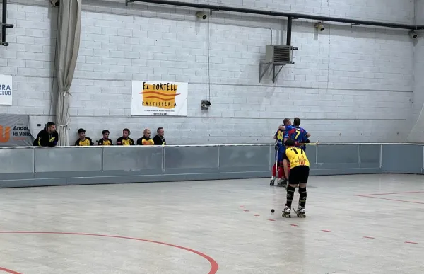 p._29_andorra_hoquei_club_celebracio_gol_vs_masquefa_foto_ahc