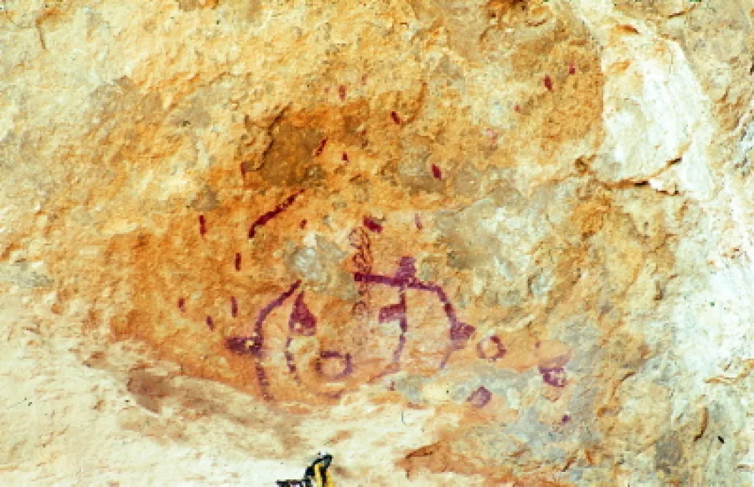 Els fràgils gravats prehistòrics, presents a la immensa mole pètria, tenen consideració de Patrimoni de la Humanitat.