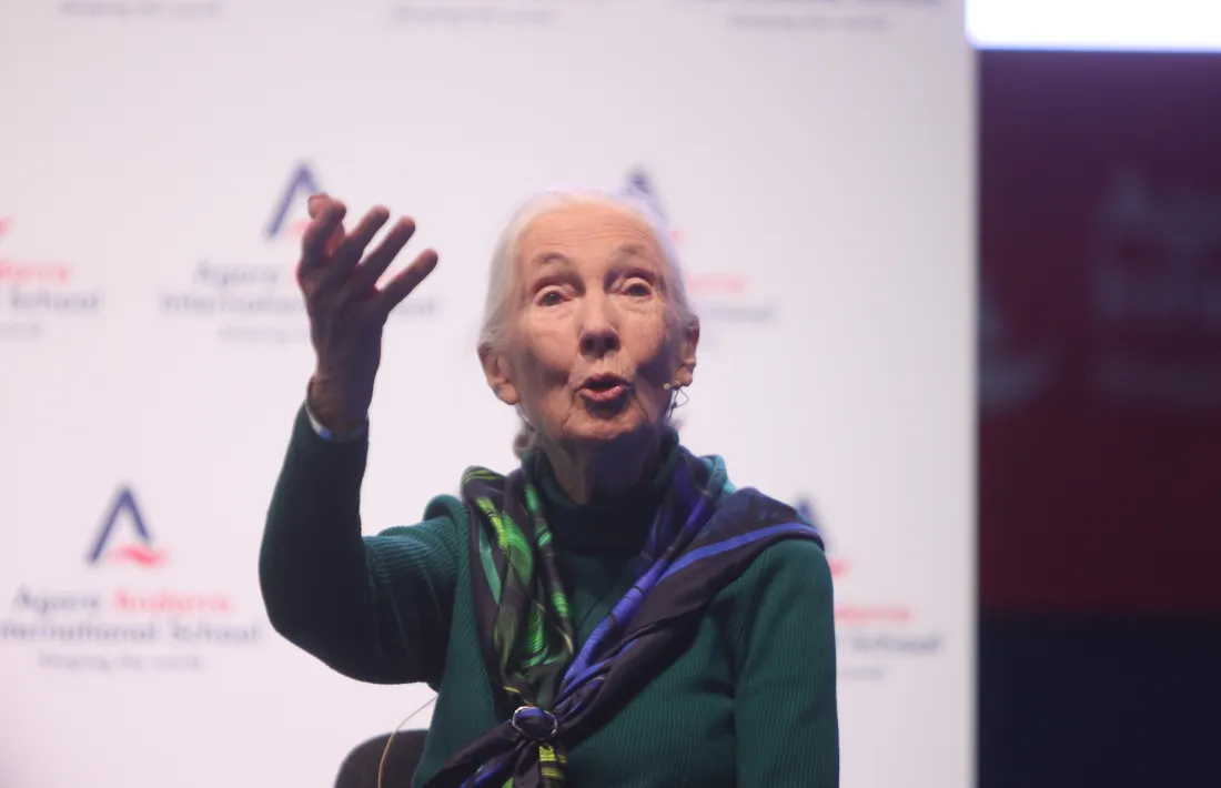 A l'escola Agora va visitar el primer Roots & Shoots creat al país.