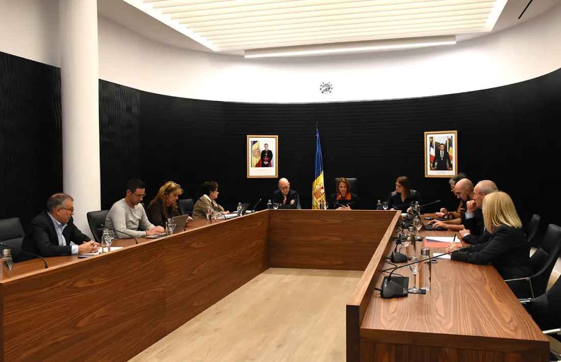 Sessió del Consell de Comú. 