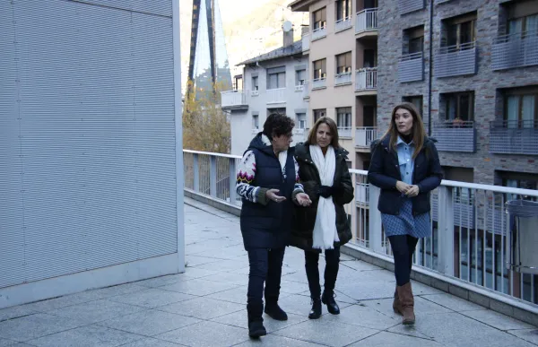 p._11_2_c_mg_2708_aile