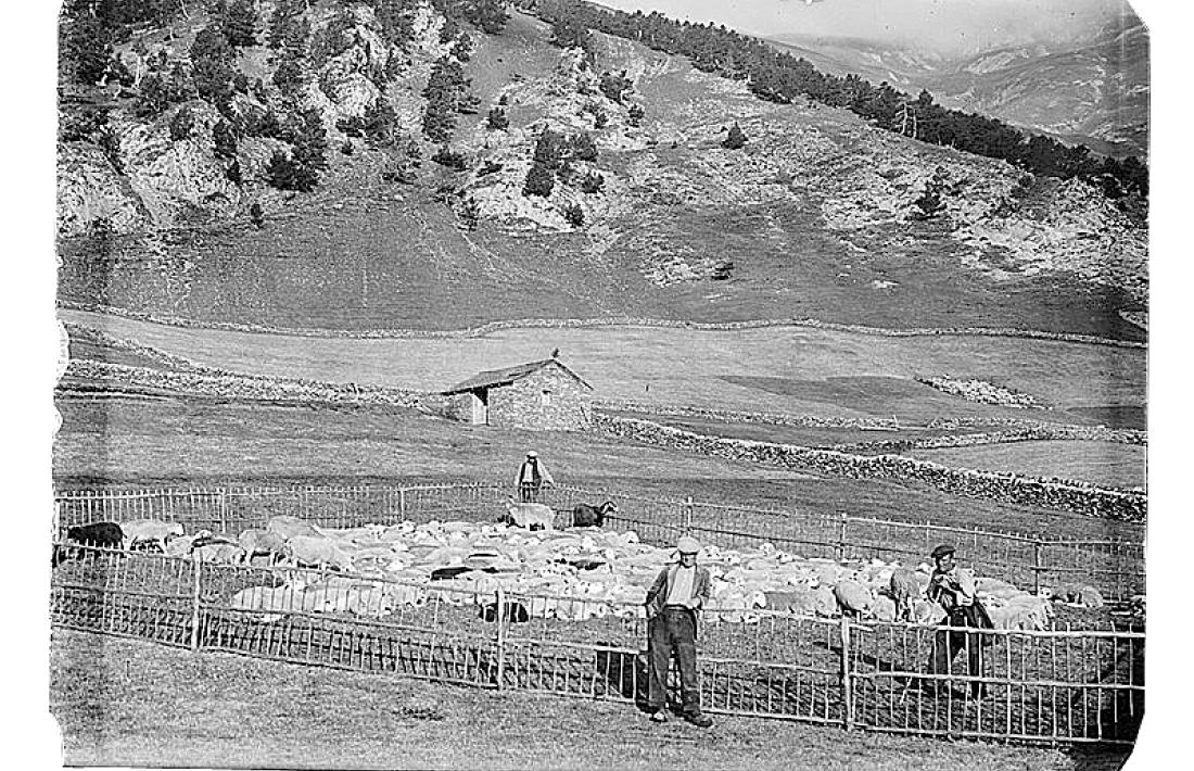 1936: pastors canillencs atalaien un ramat en una pleta de la borda del Jarca de Prats, a Montaup. Atenció a l’estructura dels andars.