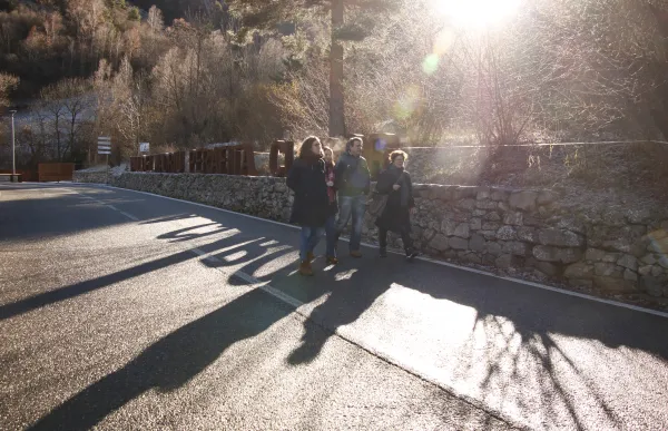 p._10_1_consens_ee_aile