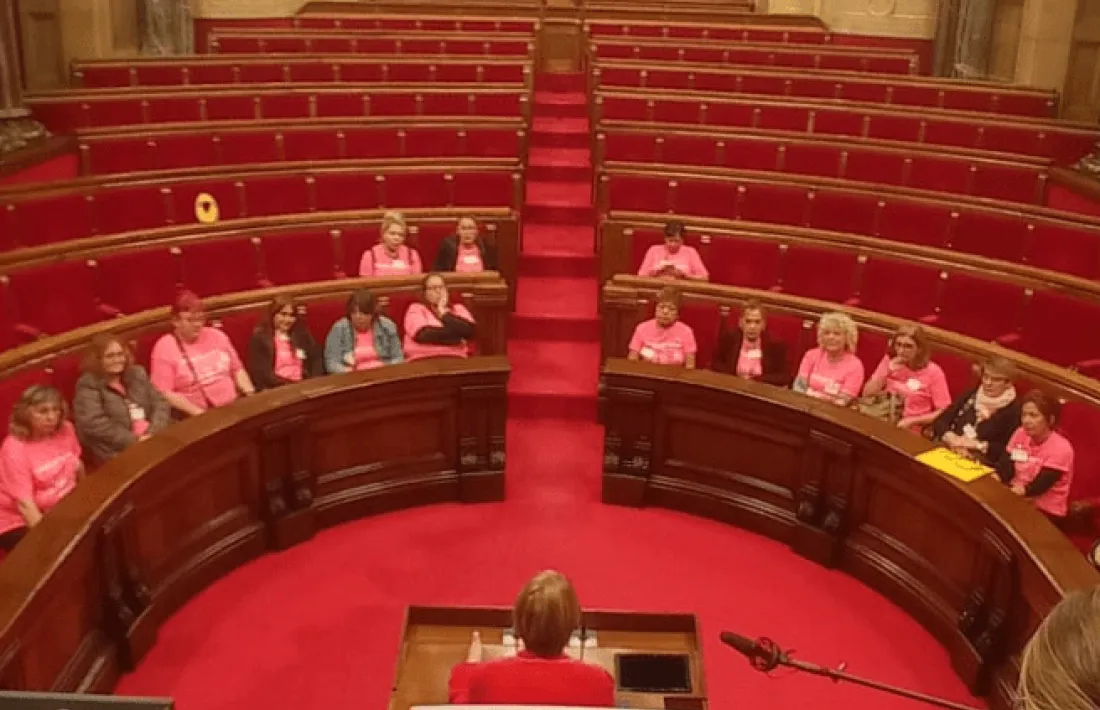 Les treballadores del SAD de tot Catalunya, incloses les de l’Alt Urgell, van portar les seves reivindicacions al Parlament. 