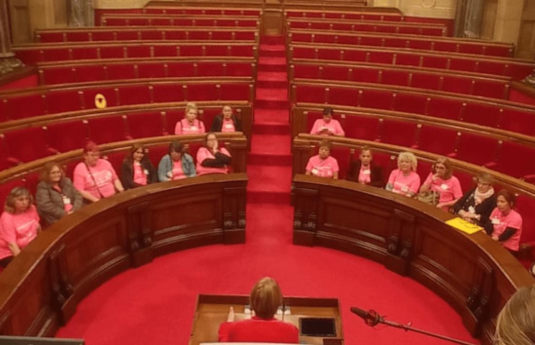 Les treballadores del SAD de tot Catalunya, incloses les de l’Alt Urgell, van portar les seves reivindicacions al Parlament. 