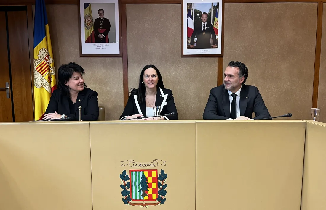 Un moment de la sessió de consell de Comú d'avui.