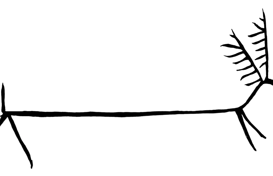 Fa vuit centímetres de longitud i les banyes en són l’element més destacat: encarnen el cicle de la vida.