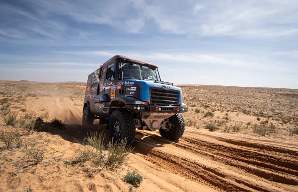 p._29_619lloeatapa10ingine-hcl04230