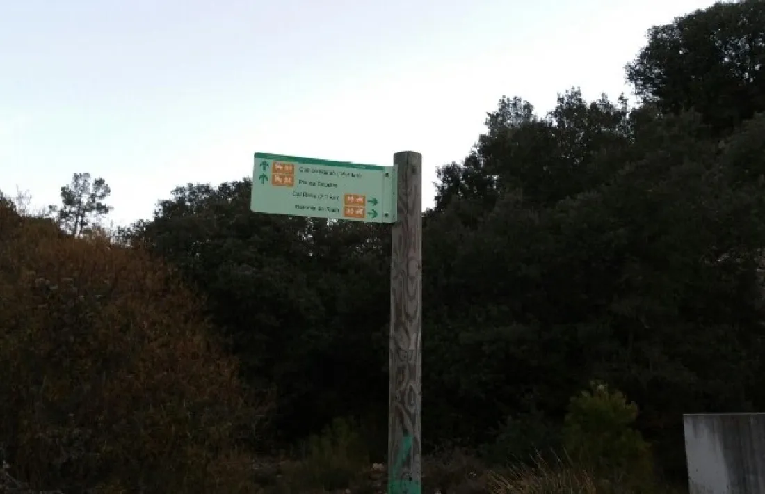 Les millores de camins, a la palestra. 