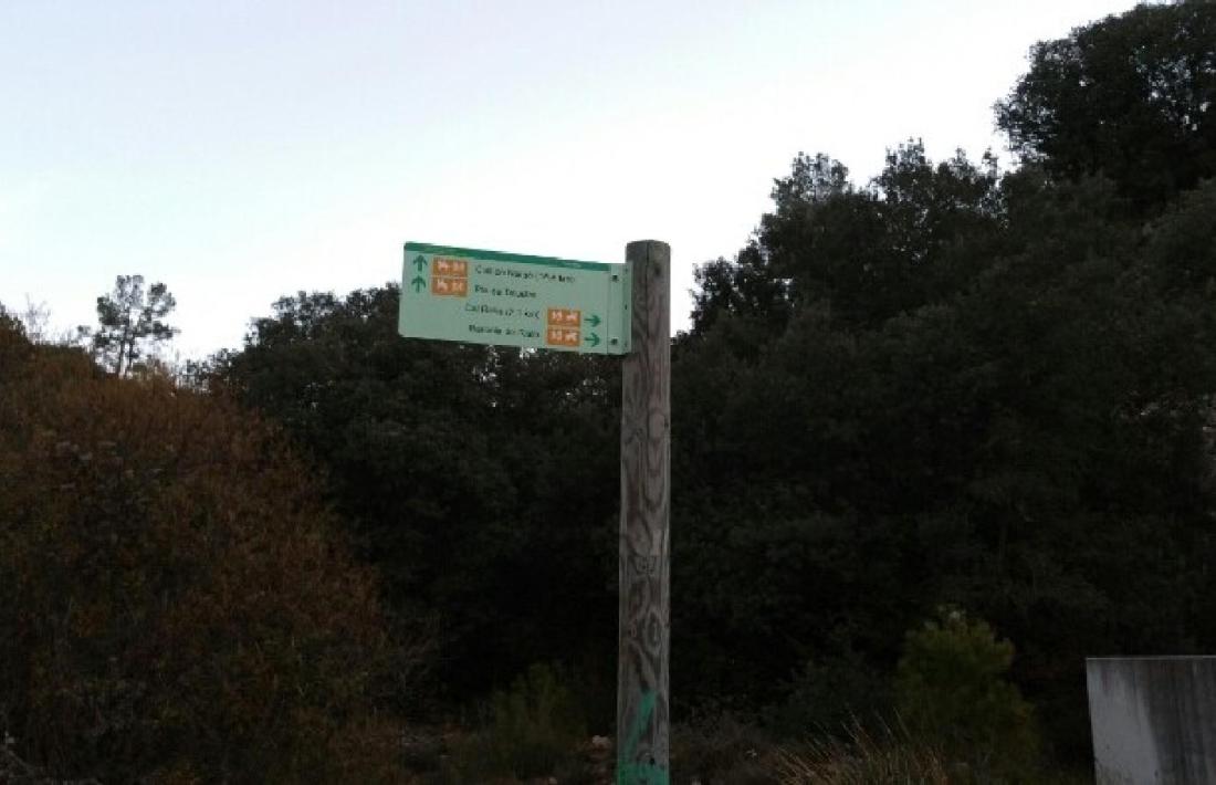 Les millores de camins, a la palestra. 