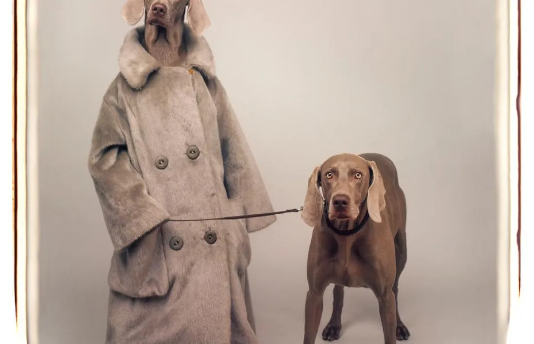 ‘Dog Walker’ (1990), va servir com a portada del volum ‘Being Human’. 