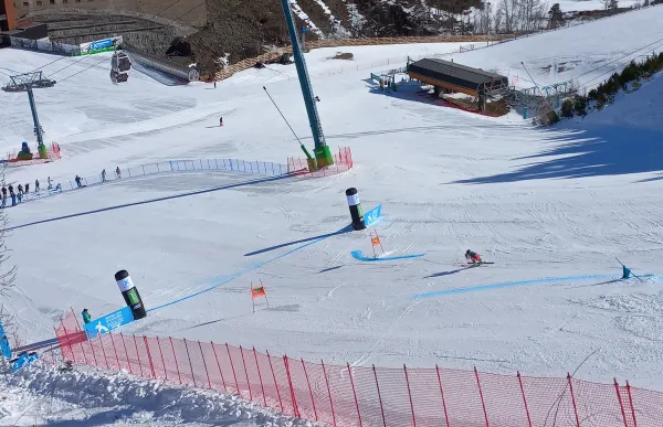 p._29_fesa_cup_soldeu_gs_foto_fae_2