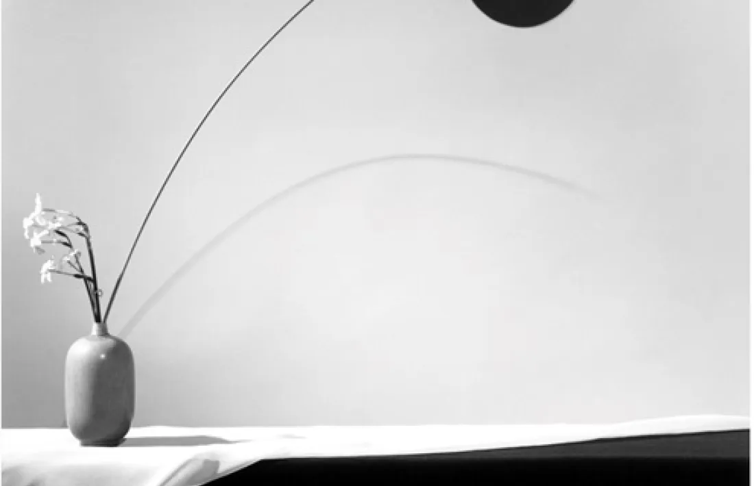 'Flower', de Robert Mapplethorpe (1983).