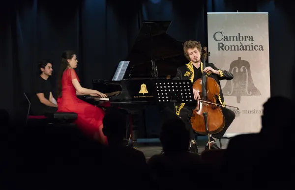 p._15_2_baix_taller_que_es_vegi_viooncel_i_cartell