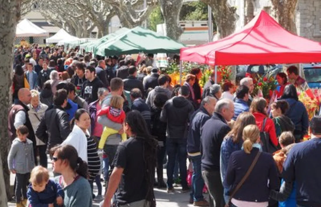 Una edició passada, al passeig Joan Brudieu. 
