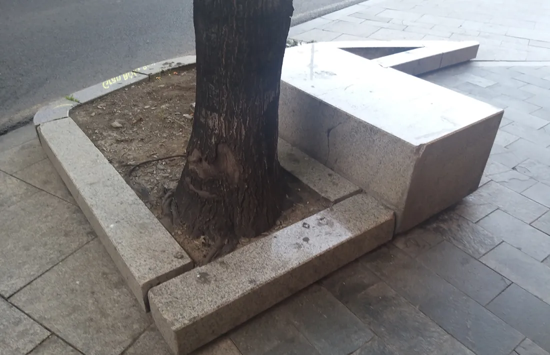 El granit que hi ha al voltant dels arbres a Prat de la Creu que el comú vol substituir.
