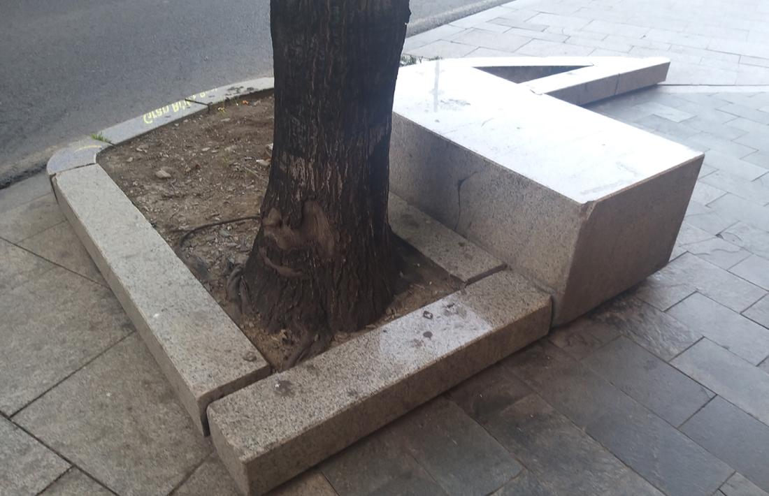 El granit que hi ha al voltant dels arbres a Prat de la Creu que el comú vol substituir.