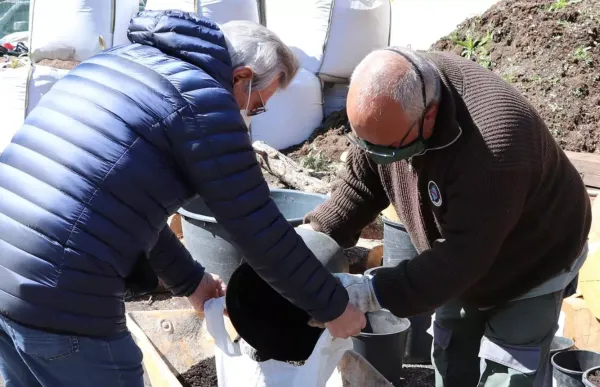 169235_compost