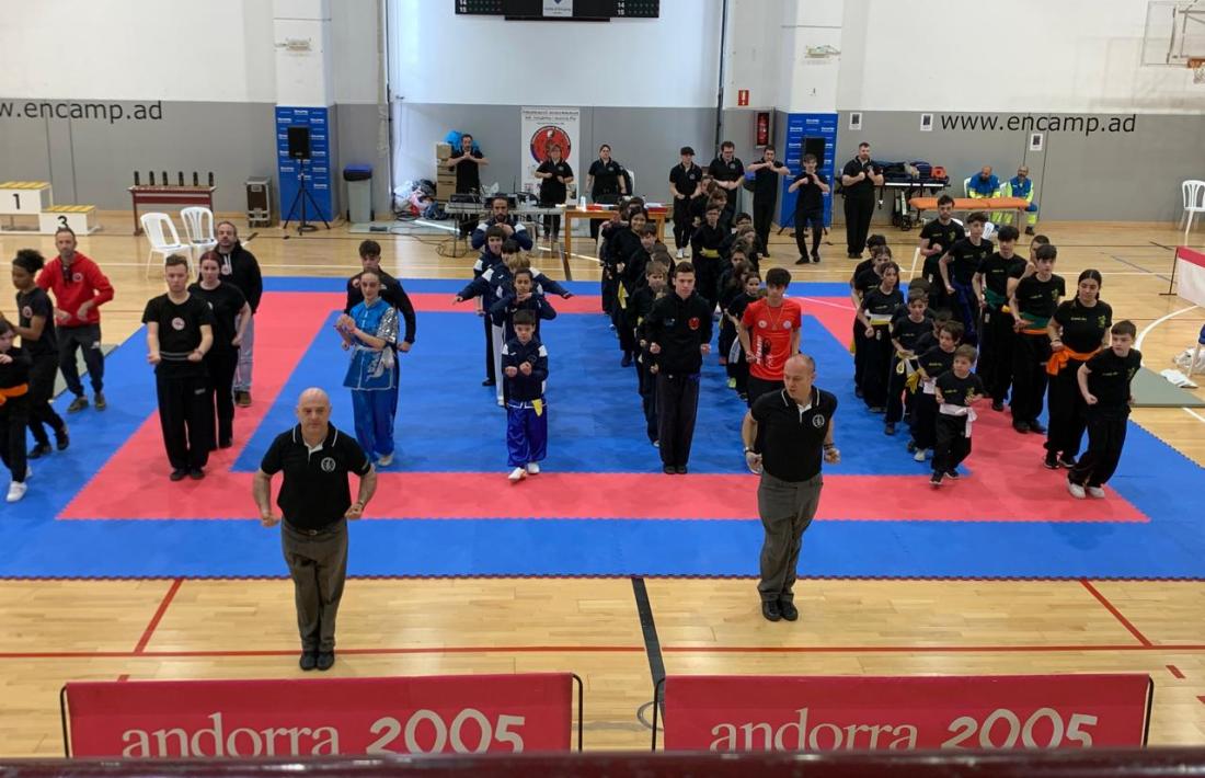 El Trofeu Open de Kung-fu va comptar amb 80 competidors.