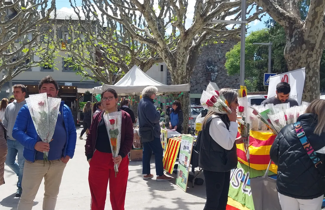Roses, l’altre element identificatiu de Sant Jordi. 