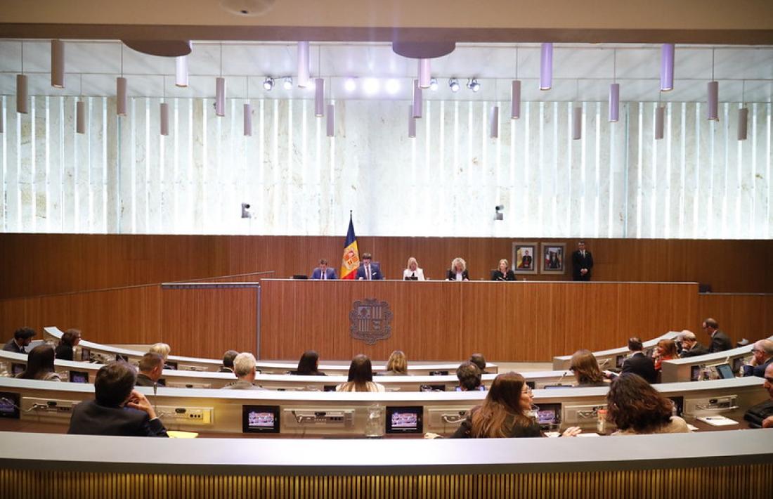Un moment de la sessió del Consell General.