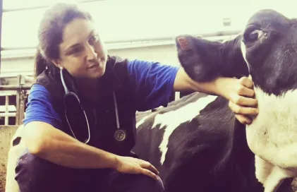 p._30_bona_ppa_veterinaria