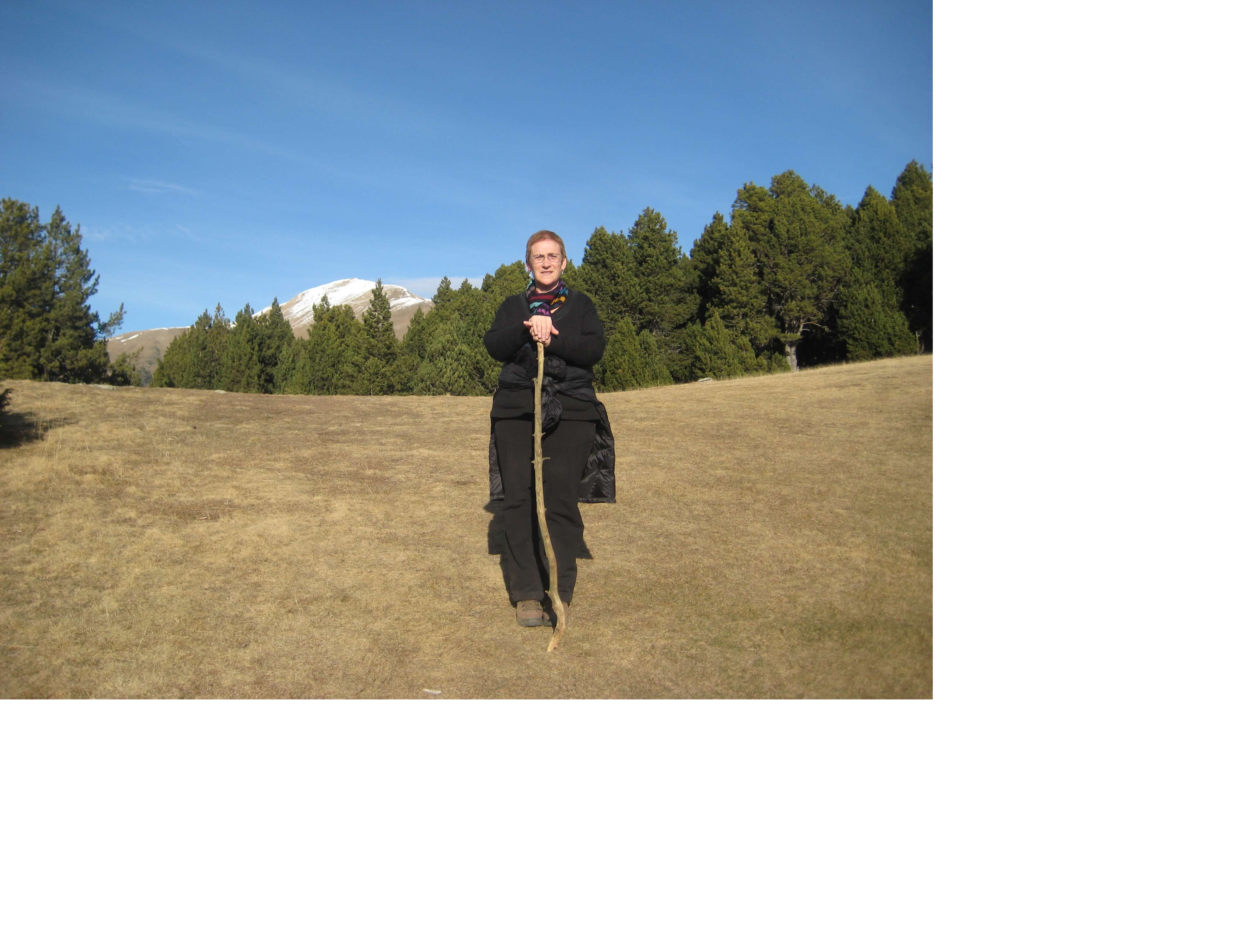 p._5_placa_poble_gori