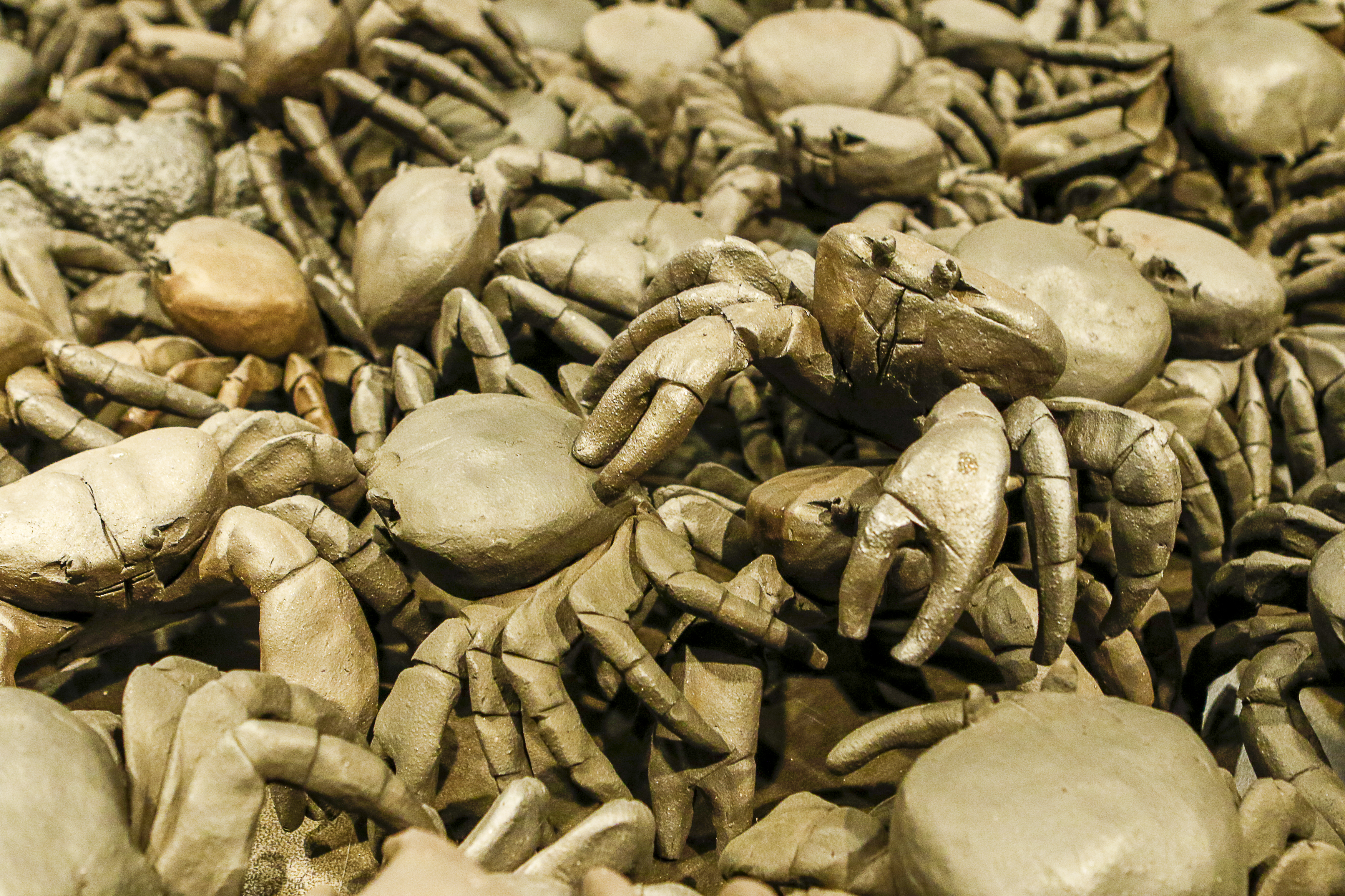 p._05_balmaseda_-_jgr