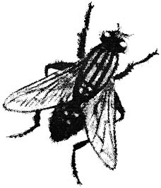 ueb_11