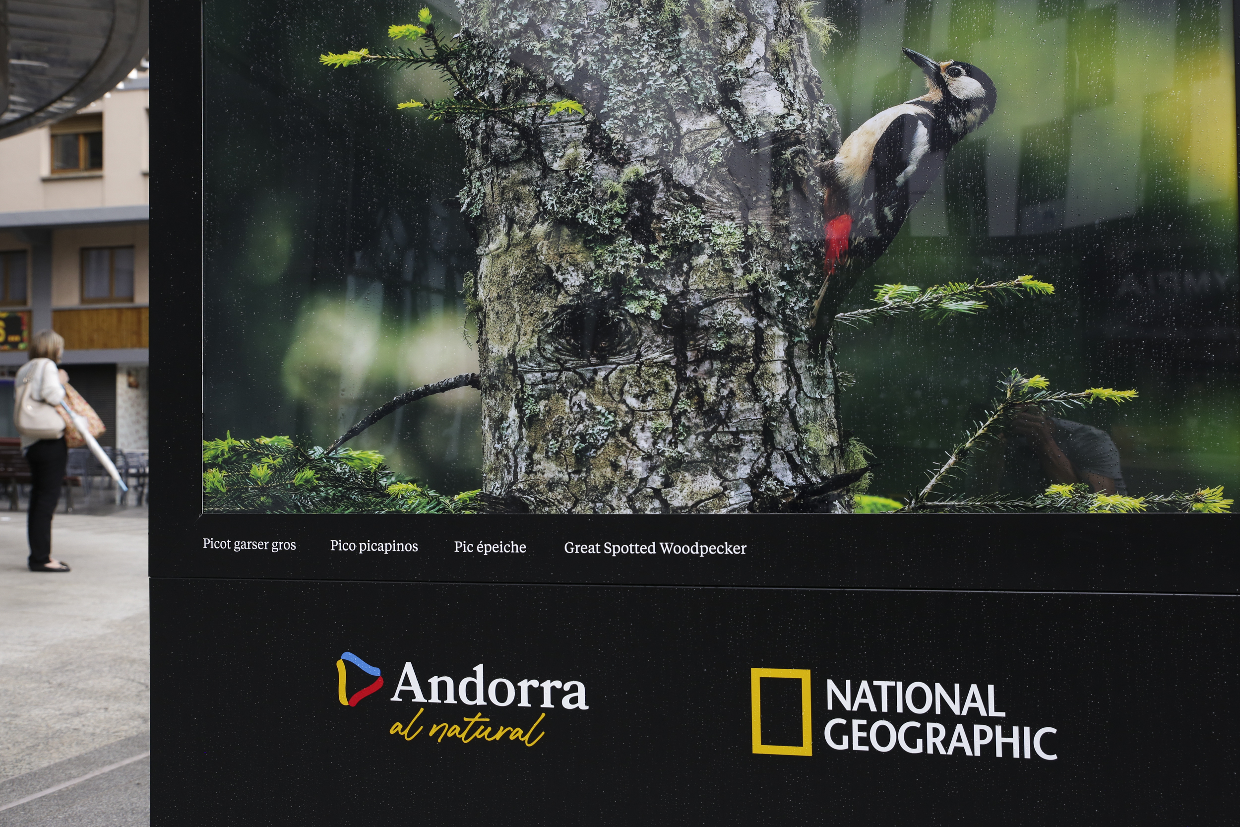 p._06_national_geographic_-_facundo_santana