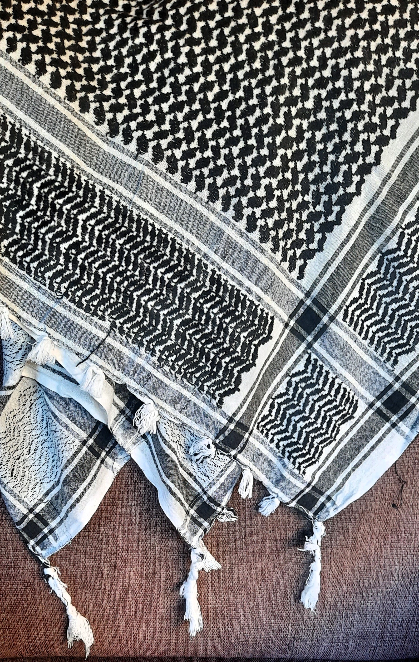 p._11_opi_peruga_bona