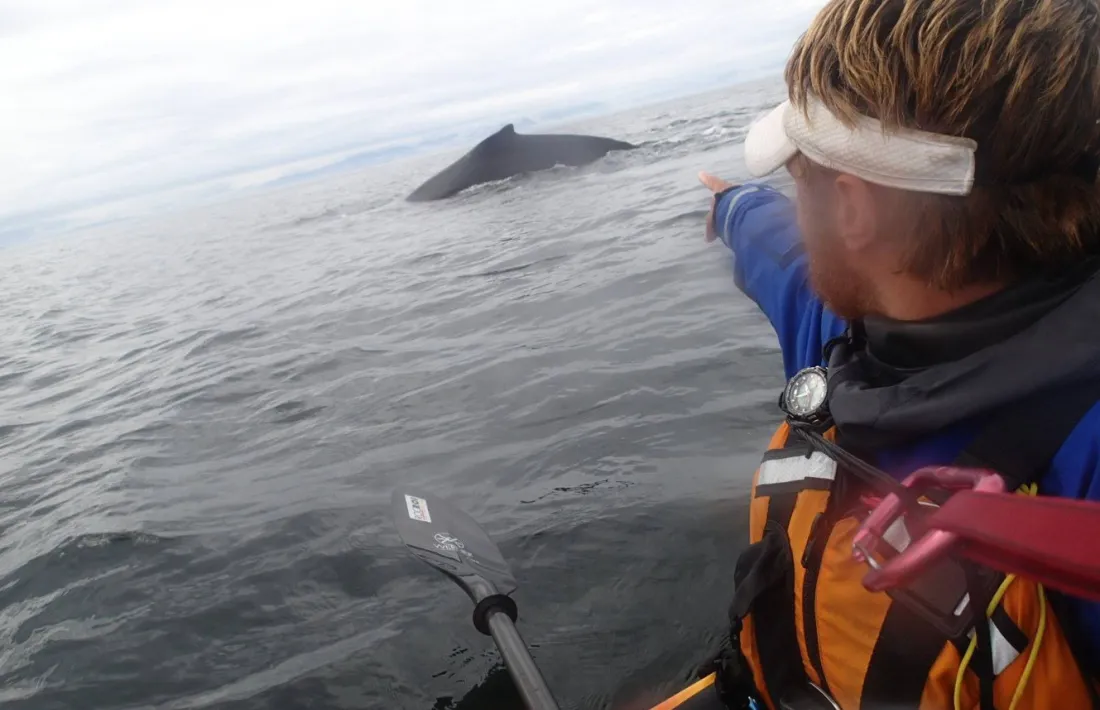 Una travessa en caiac per Alaska i Canadà clou el Cicle de cinema de muntanya cinema muntanya, rai puig, documental Alaska