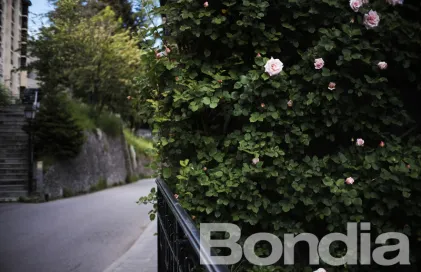 facundosantanaandorra21