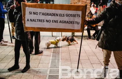 taxa_gossos_-_facundo_santana_06