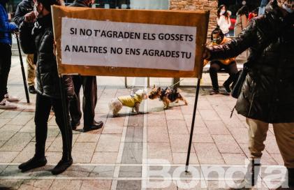 taxa_gossos_-_facundo_santana_06
