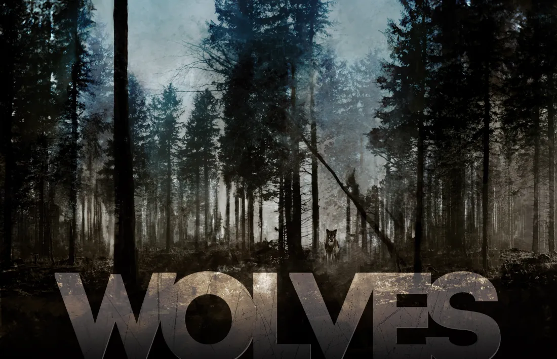 Andorra, Wolves, curt, Rodríguez Aremy, Illa Carlemany, estrena director, cine