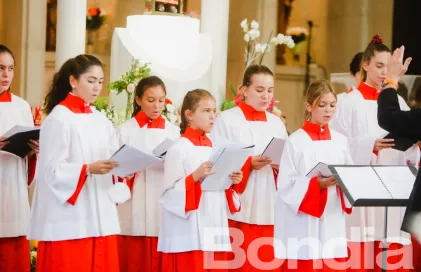 dia_de_meritxell_-_facundo_santana-58