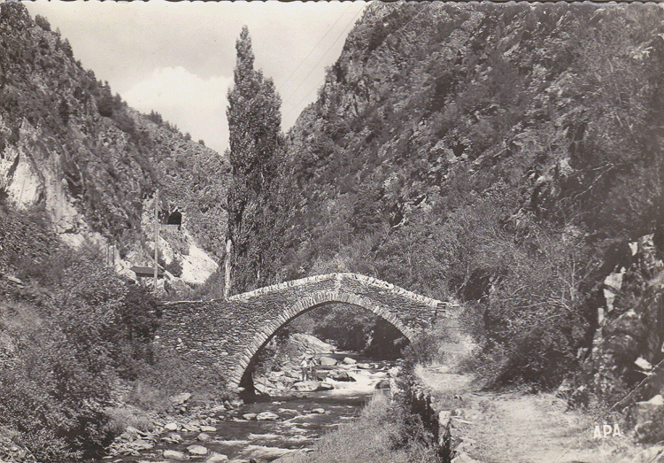 083-massana-706-apa