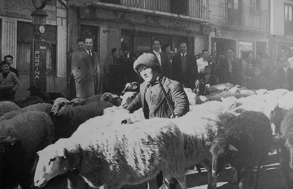 361-sant-julia-placa-sant-julia