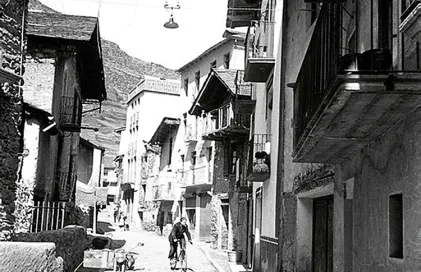 463-encamp-encamp-la-mosquera-lengemann-fl_0068