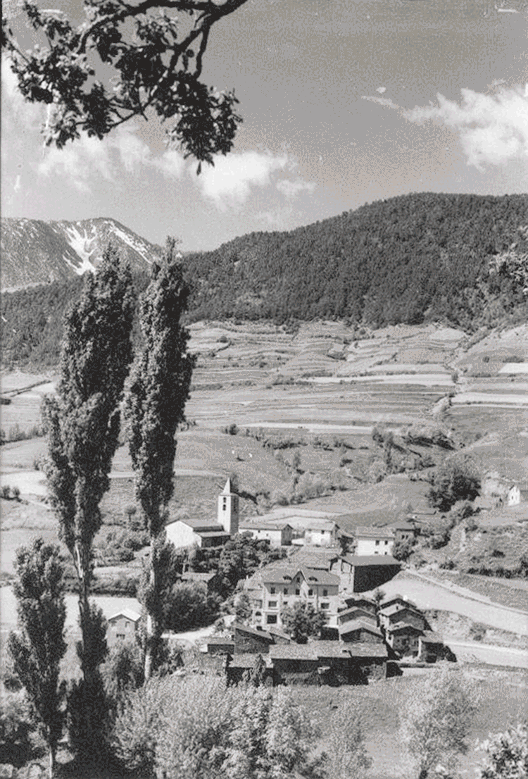 488-massana-a-fons-mario-11