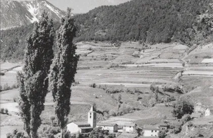 488-massana-a-fons-mario-11