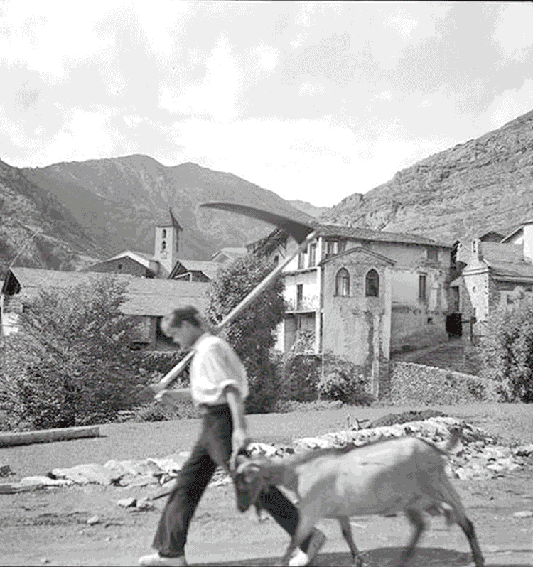 500-ordino-kollar14
