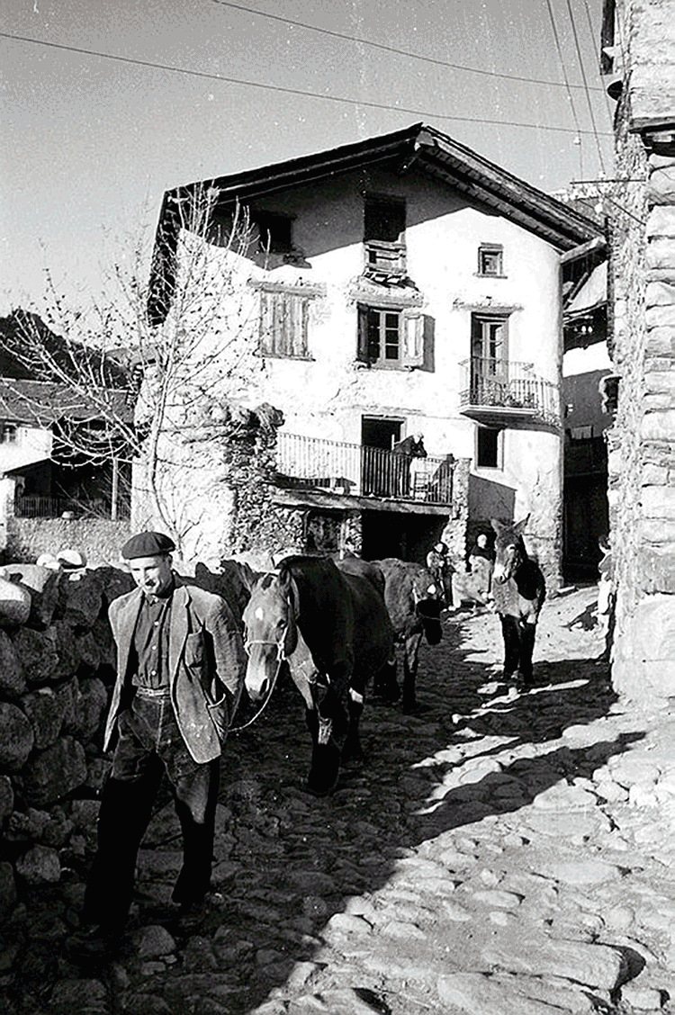 562-encamp-fl_0031-la-mosquera-lengeman
