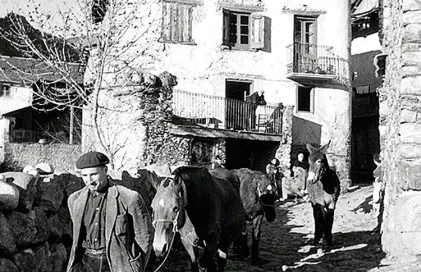 562-encamp-fl_0031-la-mosquera-lengeman