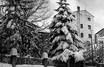 1076-fp_18012.t56dea2c1.m800