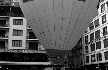 1129-coprinceps-fp_04542.t5660eb9d.m800