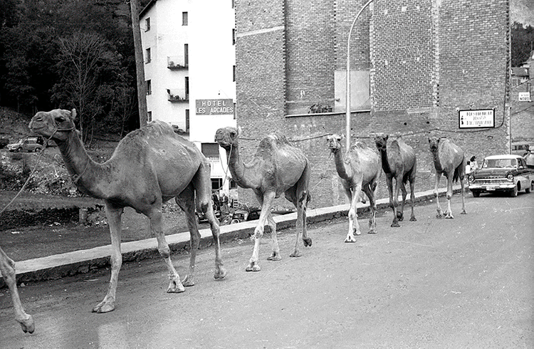 1342-fp_04478.t5660e9c4.m1200