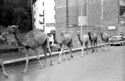 1342-fp_04478.t5660e9c4.m1200